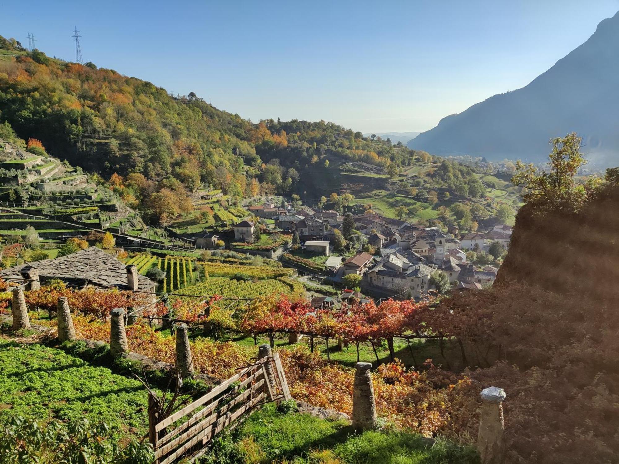 Relais Del Brigante Bed & Breakfast Settimo Vittone Ngoại thất bức ảnh